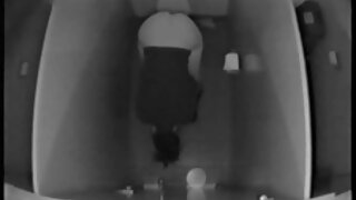 Կագահաս ասիական ճուտիկ Քամմին իր հեշտոց է վերցնում ամուր հաստ աքլորը